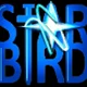 STAR BIRD